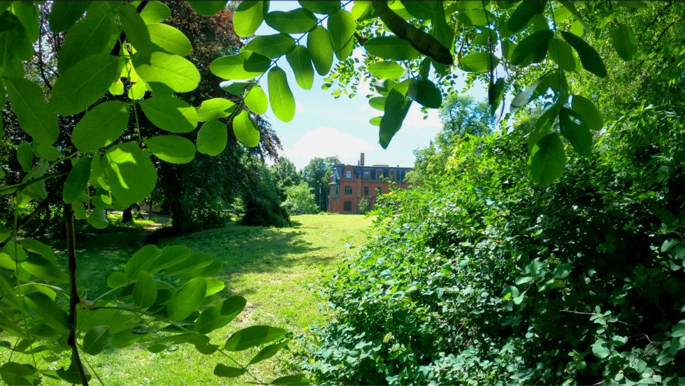 Schloss Raben Steinfeld, © Tourismusverband Mecklenburg-Schwerin