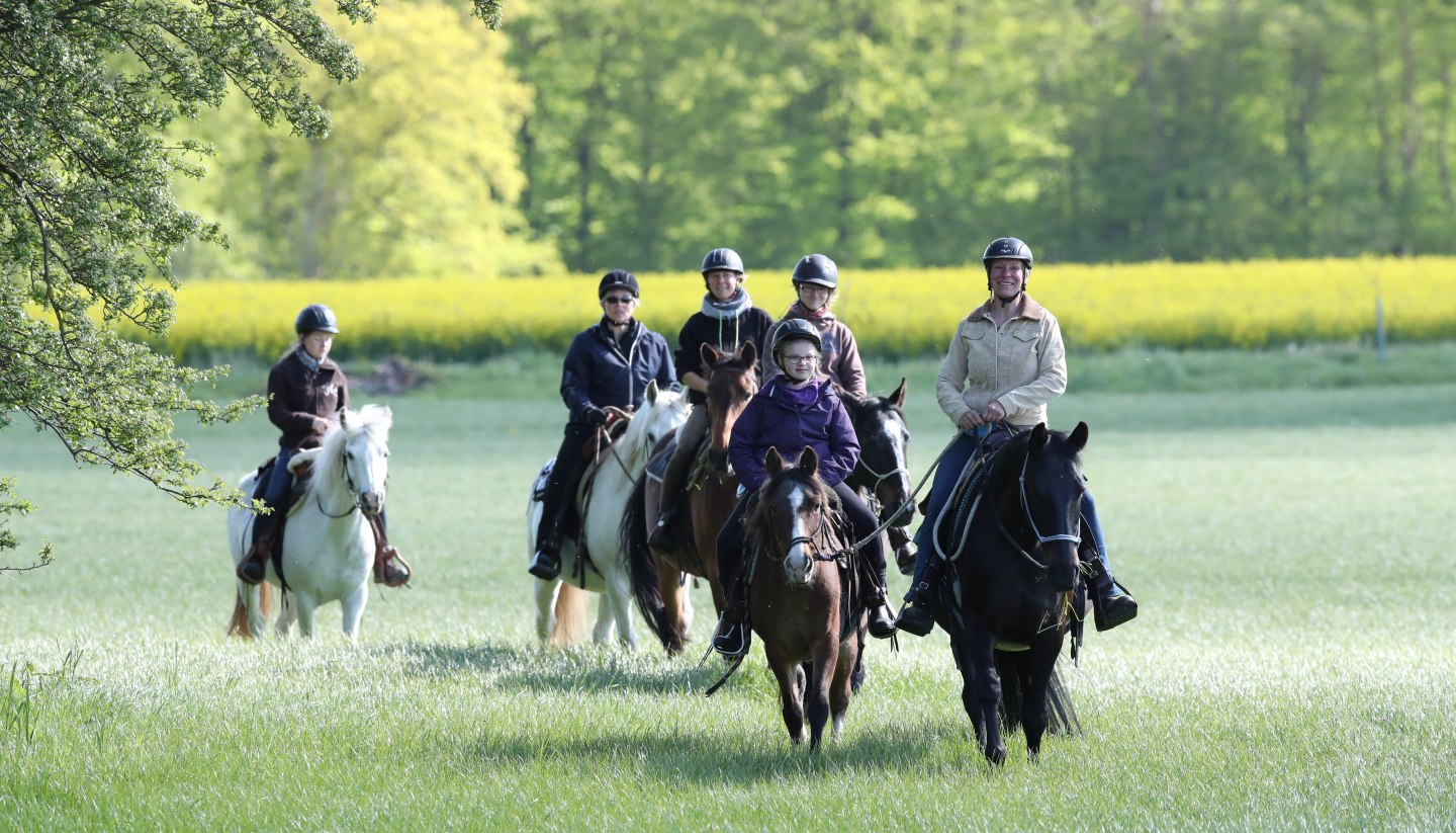 Wanderritt über grüne Wiesen am Waldesrand, © TMV/Pantel