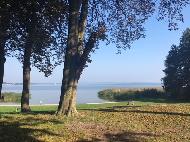 Strand mit Bäumen, © A. Groh