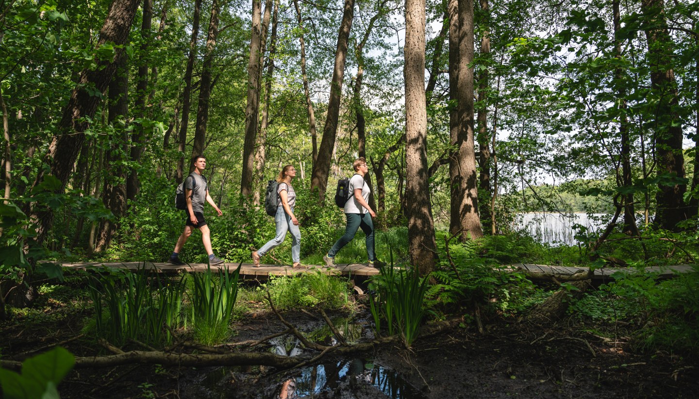 Die Natur des Sternberger Seenlandes lässt sich auf viele Weise und Wegen erkunden. Drei Freunde machen sich auf, hier zu Fuß durch die dichten Wälder am Ufer des Labenzer Sees. , © TMV/Gross