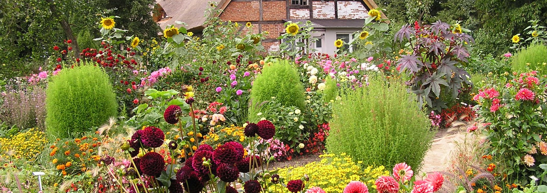 Pfarrhaus mit Dahlien, © Gerd Albrecht