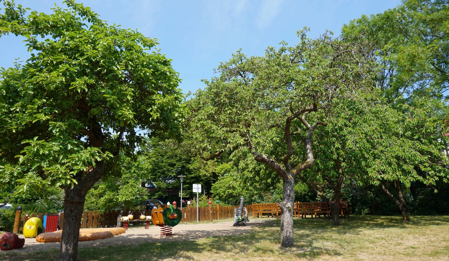 Obstgarten mit Spielplatz hinter dem Haus des Gastes, © Cindy Wohlrab / KVW Wustrow