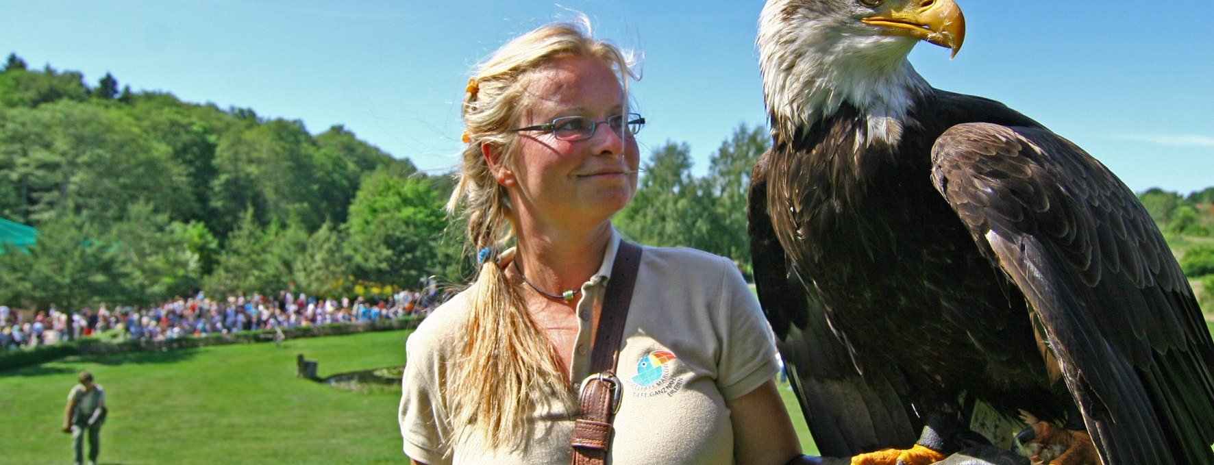 Weißkopfseeadler in der Flugshow, © Vogelpark Marlow/Zöger