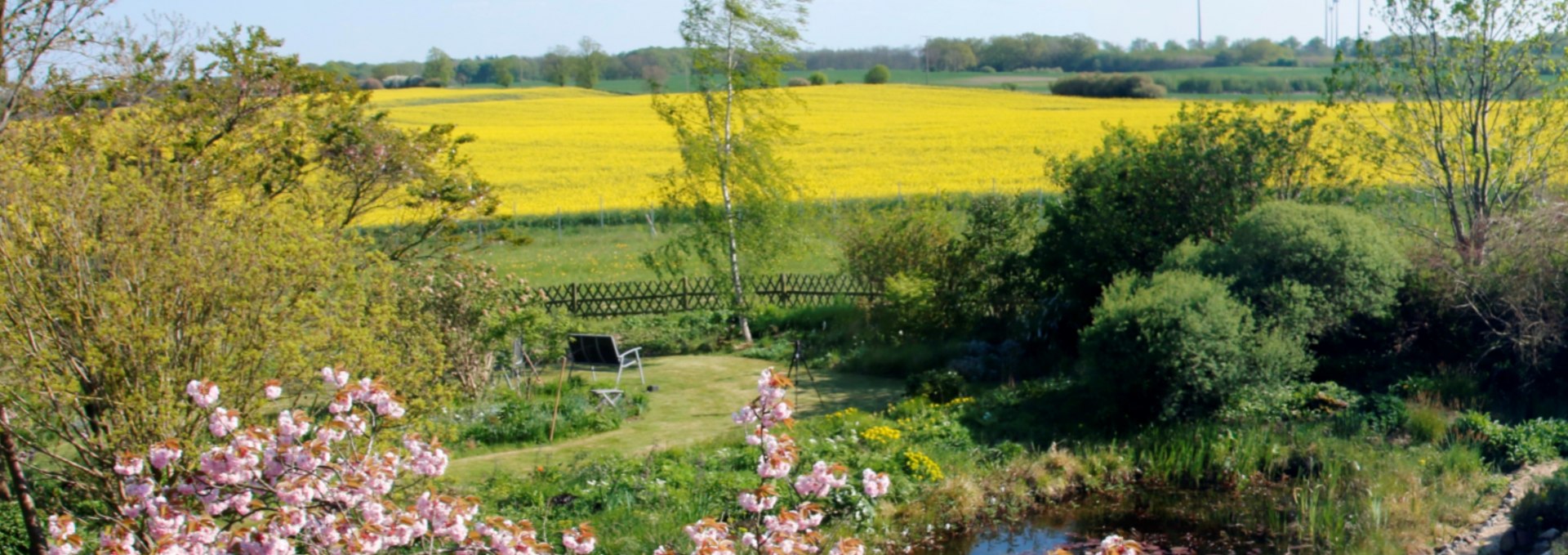 Frühling - mit Rapsblüte im Mai, © Claus Gering