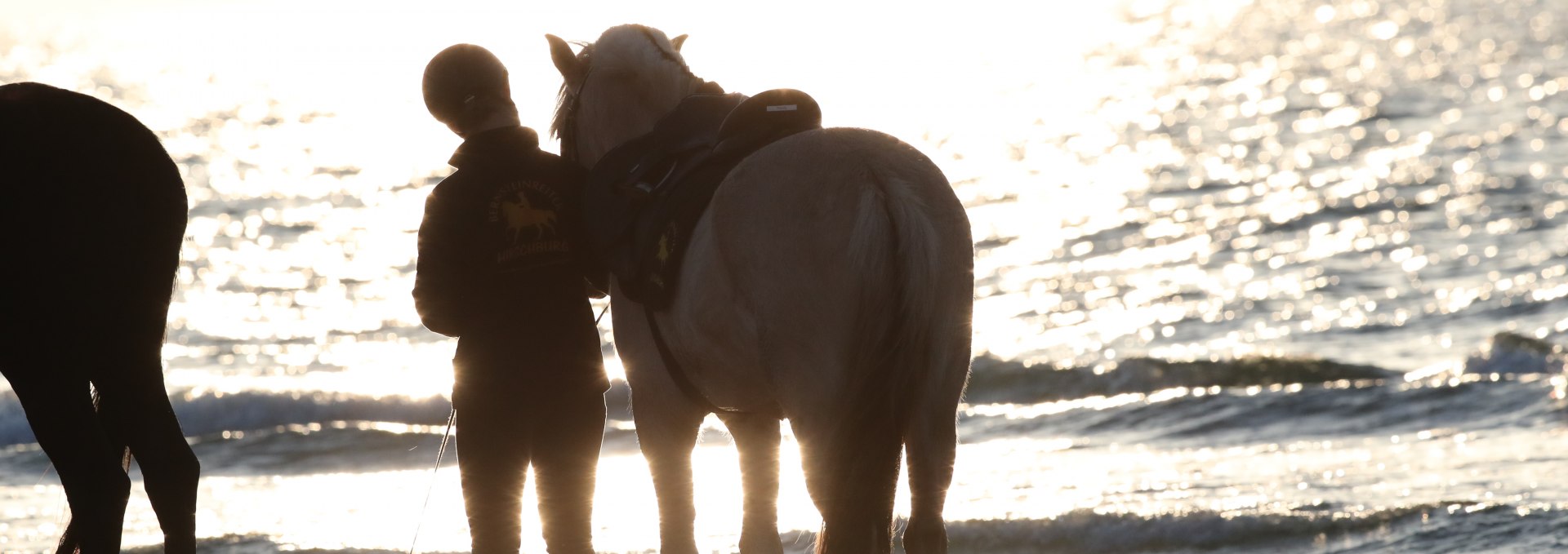 Reiten am Strand, © TMV/ACP Pantel