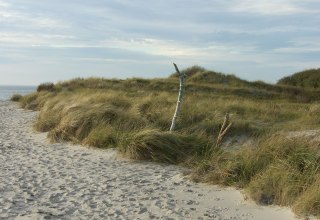 © Biosphärenreservatsamt Südost-Rügen