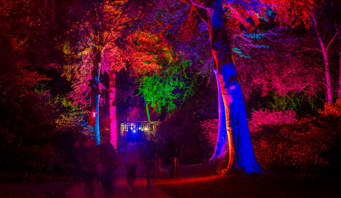 »Nachts im Park« — ein entspanntes Lichtkunst-Event, © André Pristaff / Tourismus- und Kur GmbH Graal-Müritz