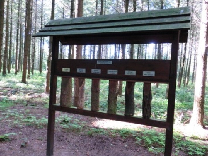 Baumrindenfühlstation im Wald der Sinne, © Baltzer