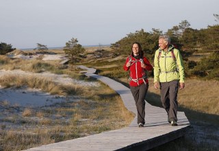 Lohnender Holzweg: Auf dem Darß führen viele Wege direkt ans Meer, © TVFDZ/outdoor-visions.com