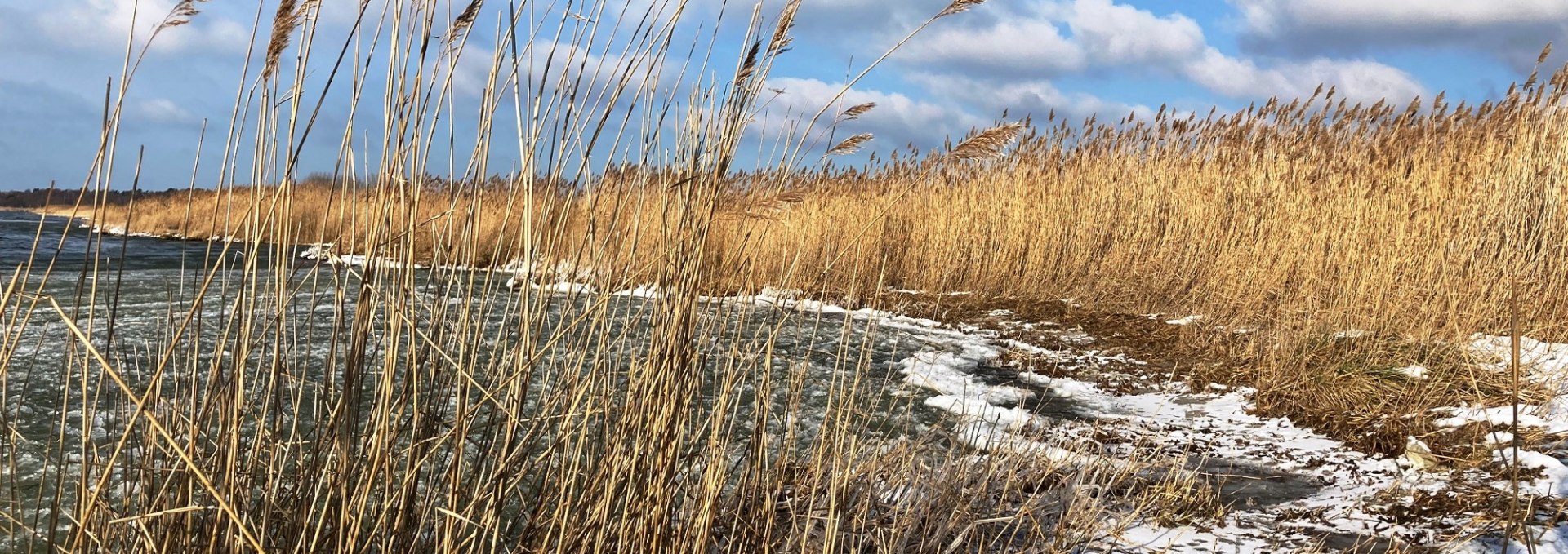 Boddenufer im Winter, © K. Bärwald