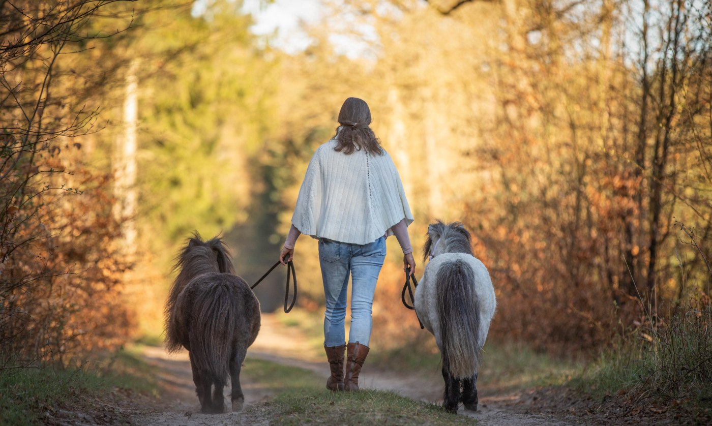 Spaziergang mit Ponys, © Anniemal Fotografie