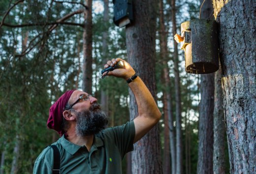 Alles zum Thema Fledermaus und Artenschutz können Naturbegeisterte bei einer Führung durch den Naturpark Nossentiner/Schwinzer Heide erfahren - hier in der Nähe des Paschensees und dem Wooster Teerofen., © TMV/Kirchgessner