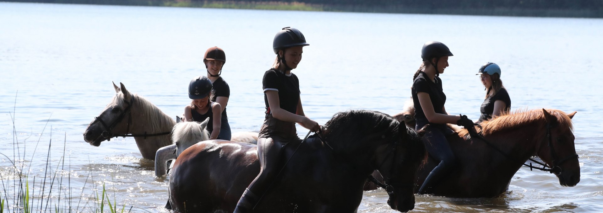 Auf dem Pferdehof Zislow ist es möglich, mit dem Pferd ins Wasser zu reiten., © TMV / ACP Pantel