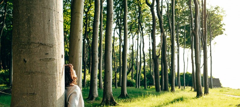 Waldbaden tut der Seele gut, © TMV/H2F