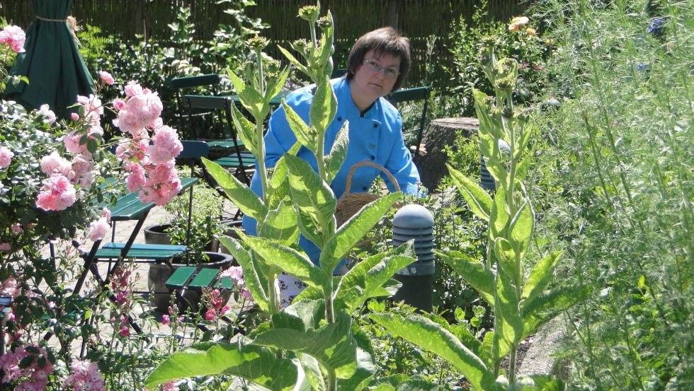 Der hauseigene Wildkräuter- und Bauerngarten mit seinen historischen und fast vergessenen Gemüsen und Kräutern, © De oll Dörpschaul/Alm-Linke