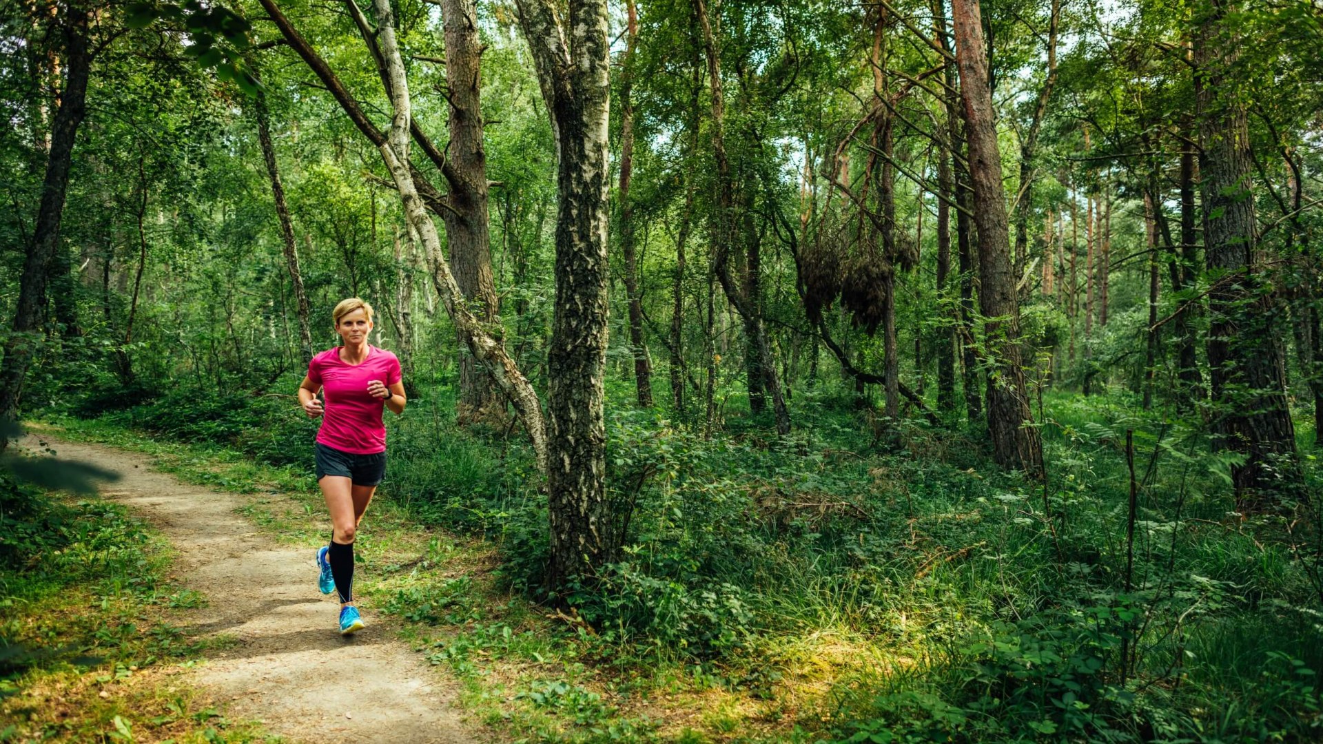 ...im Naturschutzgebiet Ribnitzer Großes Moor tun gut bei einem langen Lauf, © TMV/Tiemann