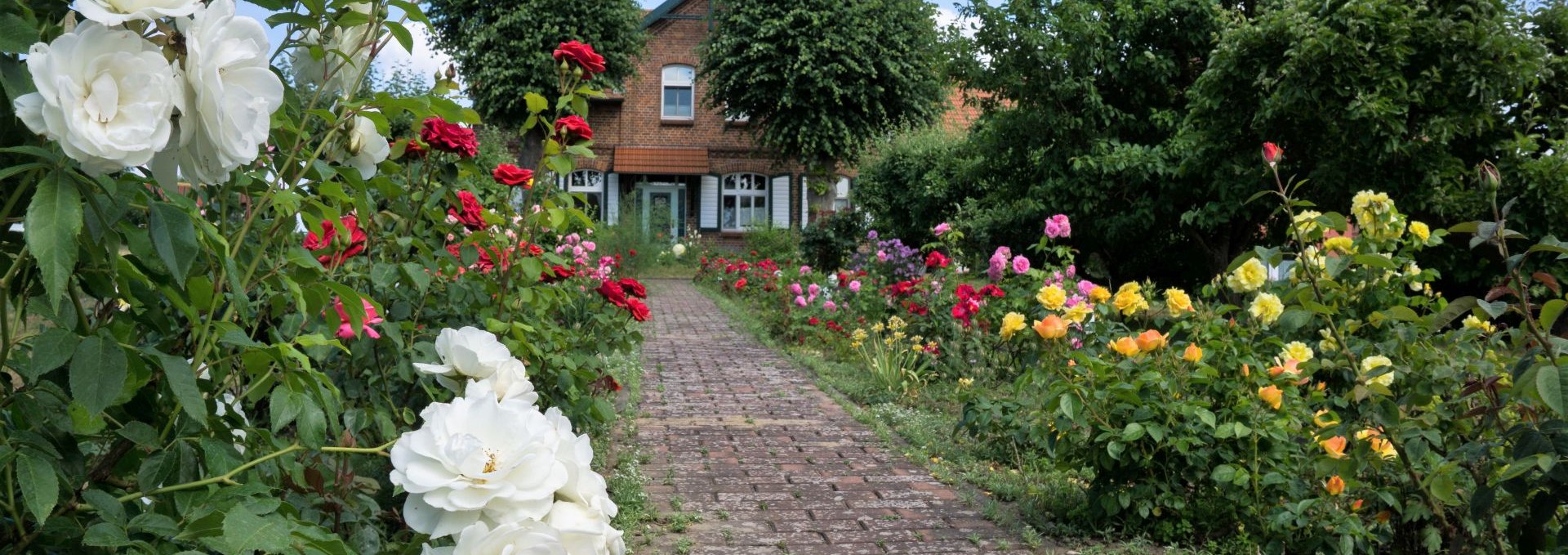 Blick auf unser Haus mit Rosengarten, © O.E.Christoph