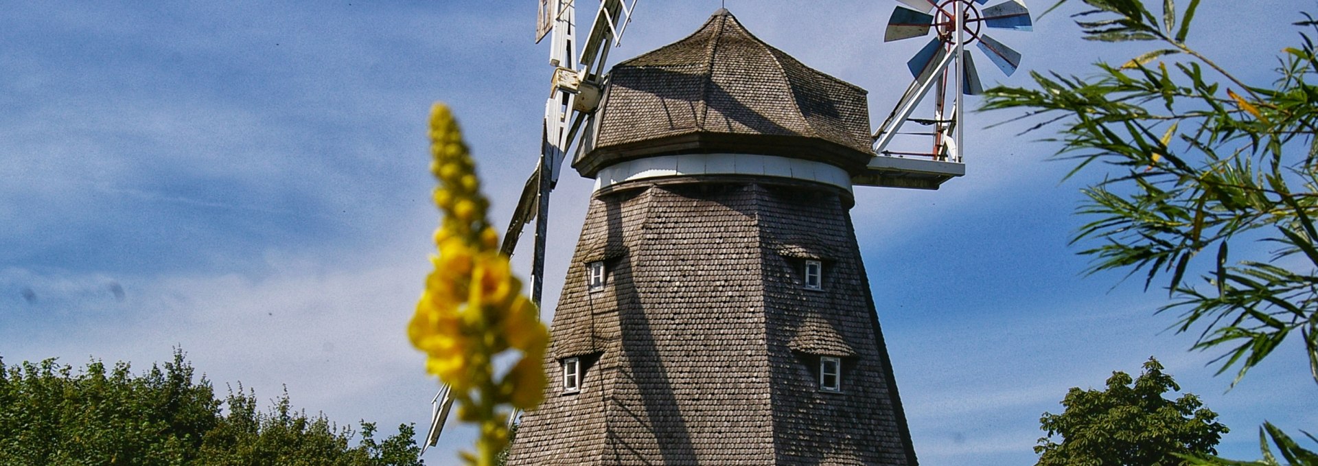 Mahnkesche Mühle im Zoo Stralsund, © Hansestadt Stralsund