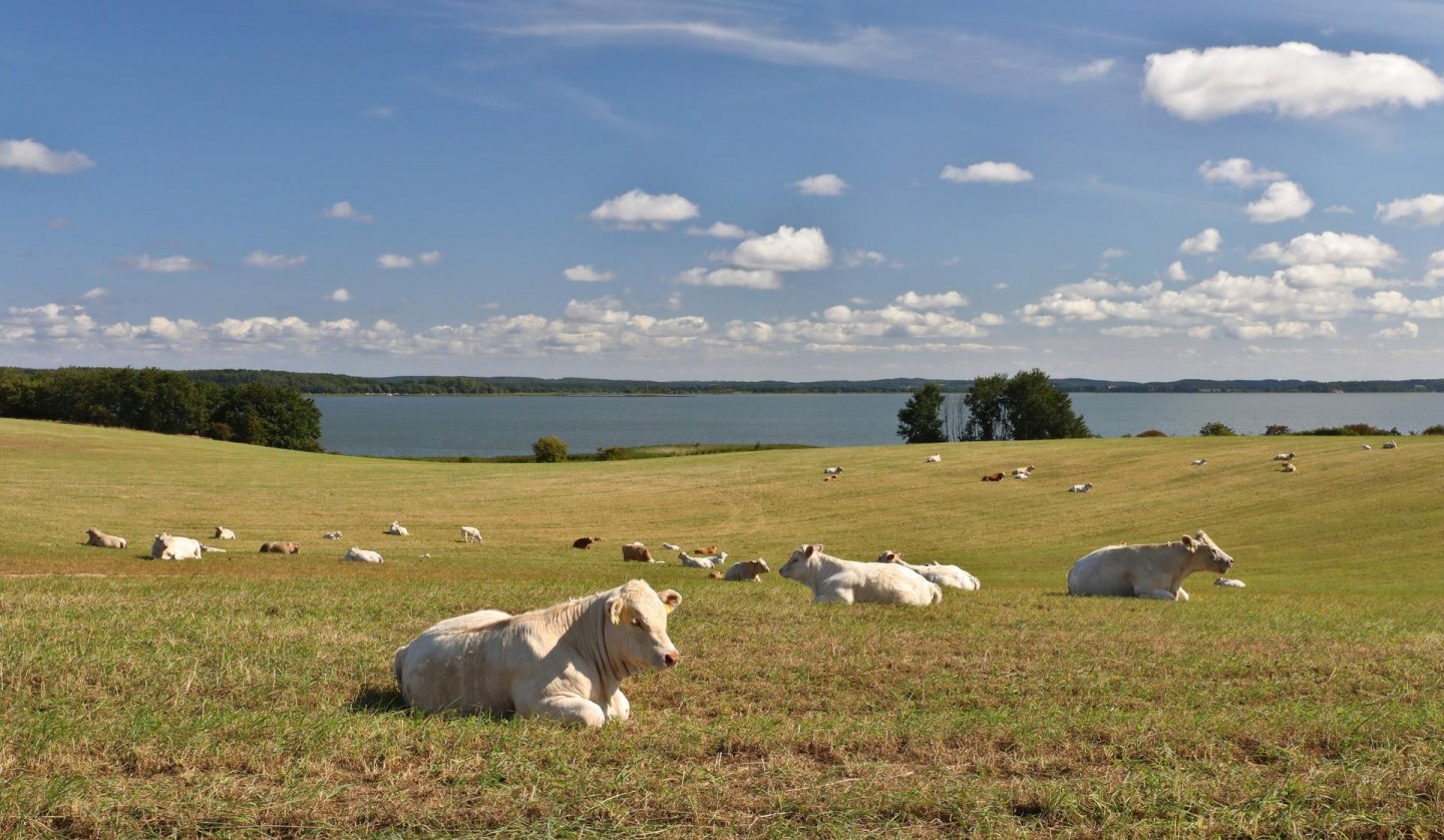 Loddiner Höft, © TMV/Gohlke