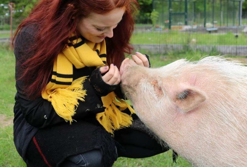 Die Tafel.Runde im Land der Tiere ist ein Tierschutz-Ganztagesevent der besonderen Art: exklusiver veganer Kochkurs und intensives Eintauchen ins Land der Tiere., © Land der Tiere