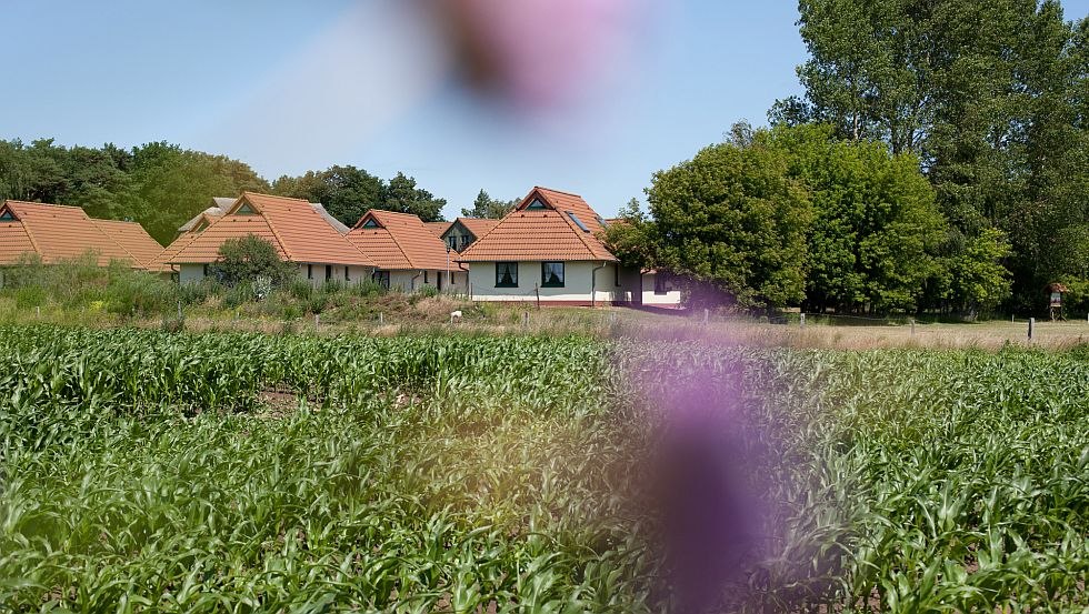 Herzlich Willkommen im Jugendtours Feriendorf Ummanz, © Jugendtours-Feriendorf Ummanz/Meixner