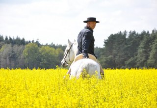 Spanische Pferde in mecklenburgischer Landschaft, © Antje Kopplow