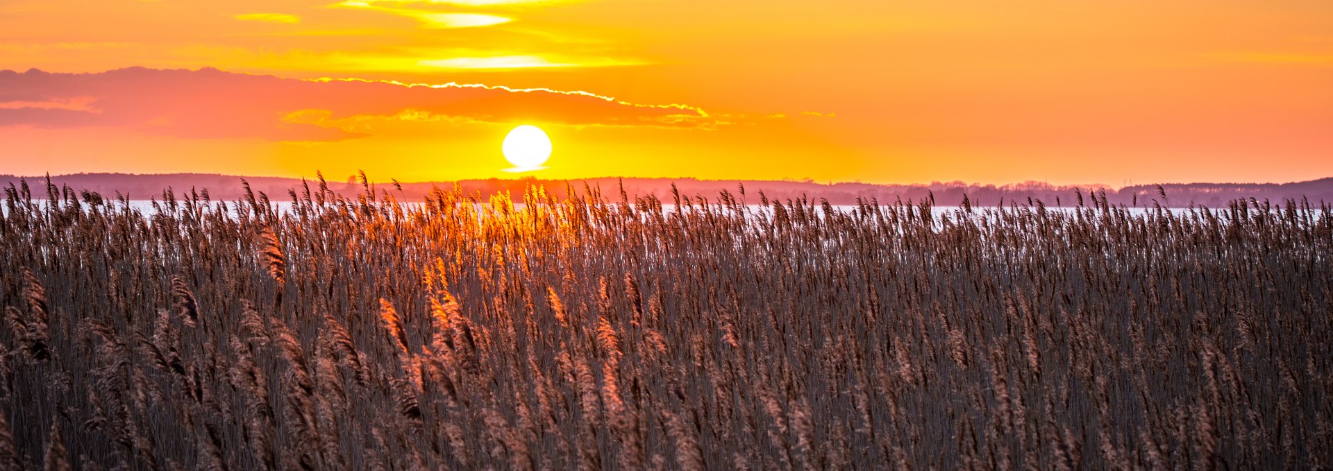 Radwanderung ins Achterland, © insel-fotograf.eu, Andreas Dumke