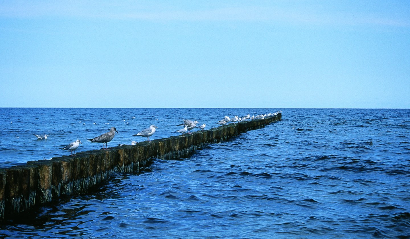 Multimediavortrag: "Kleine Insel, ich komme wieder - Als der Schlager nach Usedom kam", © image-foto.de, M+T Markt und Trend GmbH