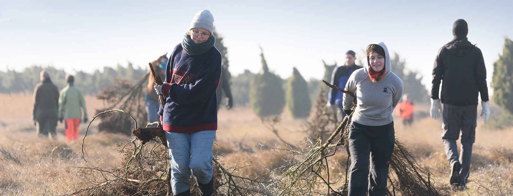 Hiddensee__Heide_freistellen_korr, © Matthäus Holleschovsky - Bergwaldprojekt e. V.