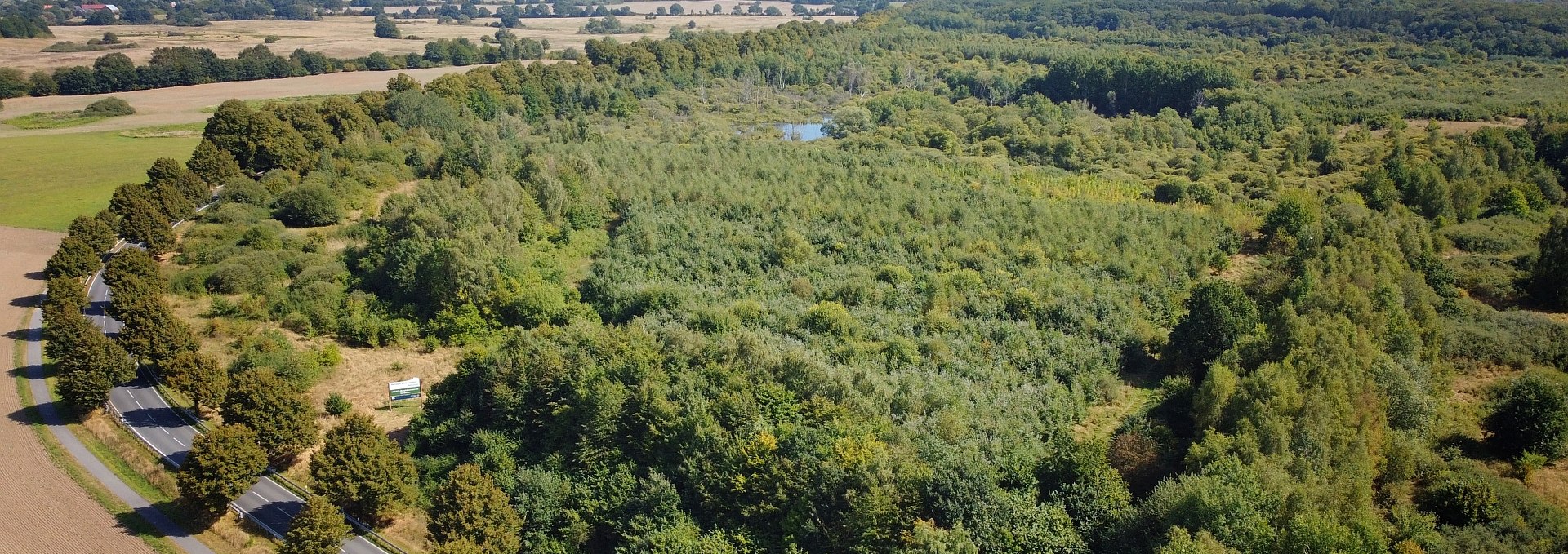 Klimawald Biosphärenreservat Schaalsee, © Landesforst MV