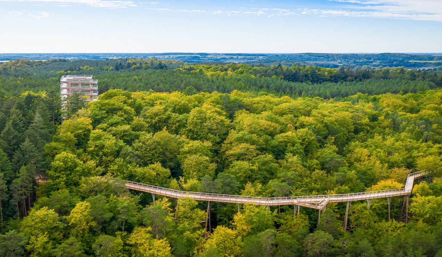 Der Baumwipfelpfad besteht aus einem hölzernen Steg, der sich durch die Baumkronen windet, und einem 33 Meter hohen Aussichtsturm., © Erlebnis Akademie AG/Baumwipfelpfad Usedom