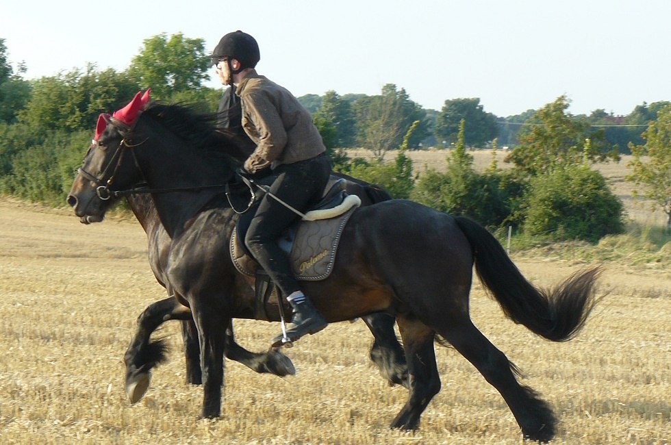 Ausritt durch die herrliche Natur, © Ponyhof Rügen