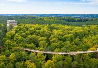 Der Baumwipfelpfad besteht aus einem hölzernen Steg, der sich durch die Baumkronen windet, und einem 33 Meter hohen Aussichtsturm., © Erlebnis Akademie AG/Baumwipfelpfad Usedom