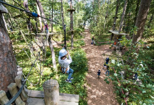 Der Kletterwald im Ostseebad Binz lockt Wagemutige in schwindelnde Höhe., © TMV/Tiemann