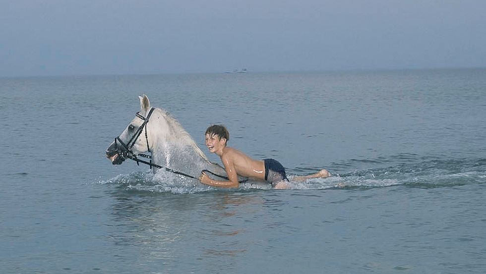 Mit dem Pferd im kühlen Nass zu schwimmen ist der Traum vieler Reiter- hier wird er wahr!, © Reitstall Stuthof