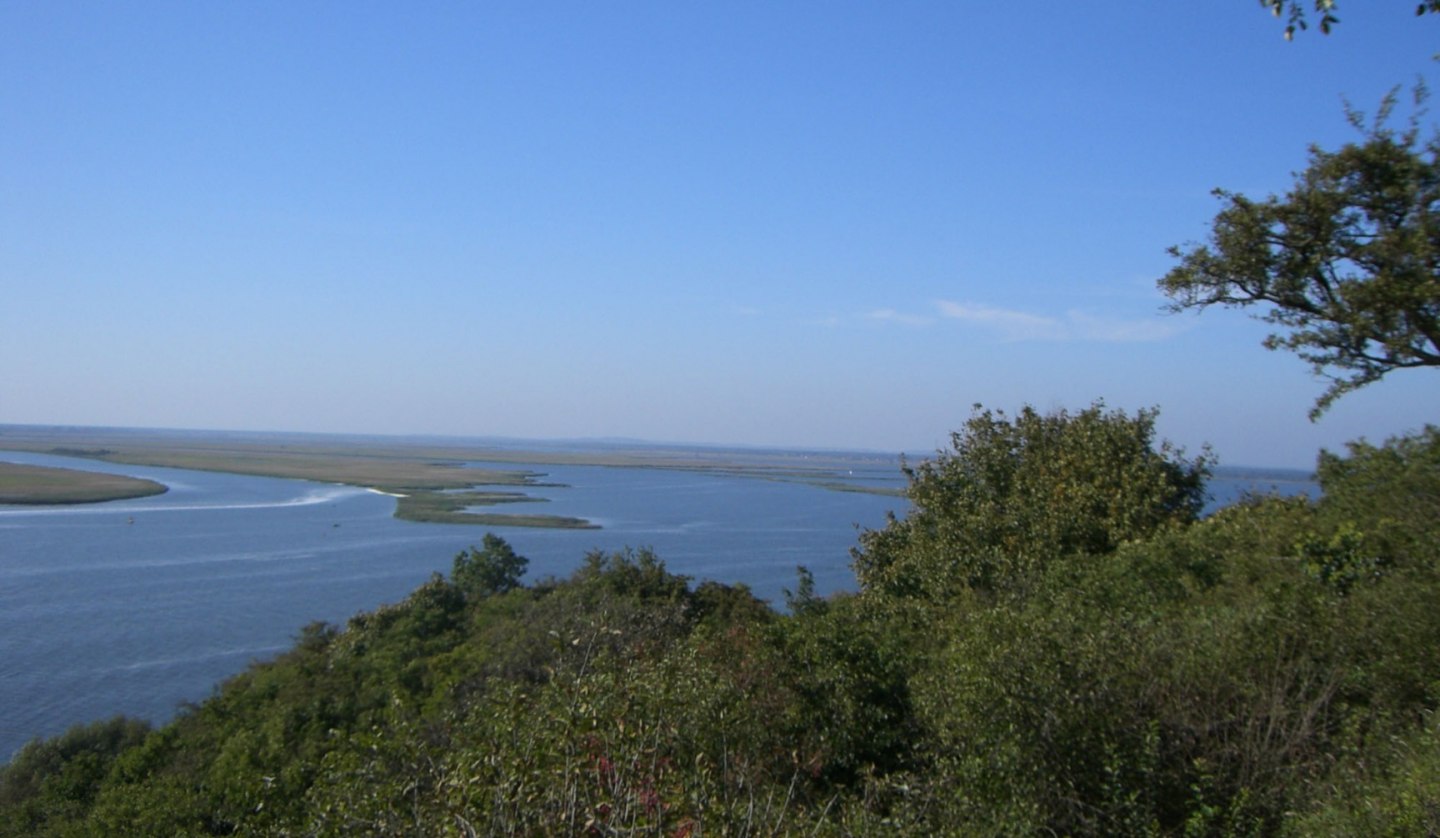 Natur pur - einzigartige Fahrrad- und Bootstour ins Swinedelta