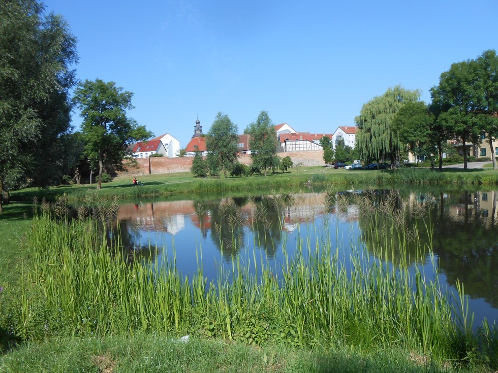 Die grüne Oase von Malchin (Stadtansicht vom Park aus), © Monika Kröger