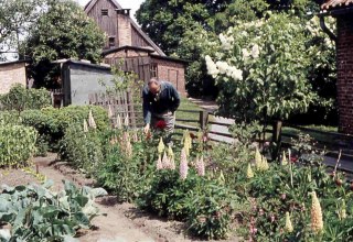 Nutzgarten am Langen Haus im Kloster Rambin, um 1965, © Hans Austel