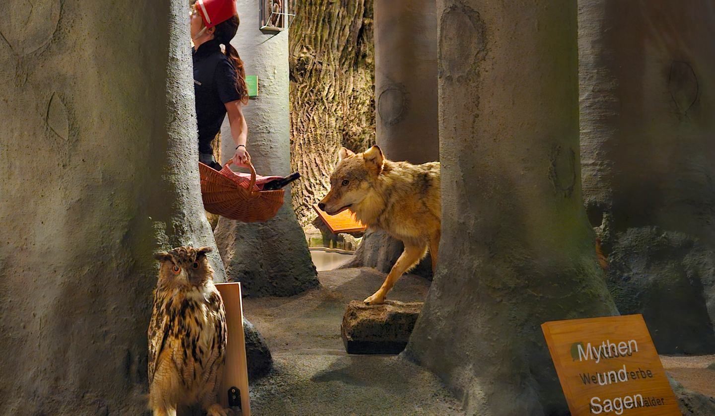 Rotkäppchen und der Wolf im Ausstellungsbereich Buchenwald, © Müritzeum