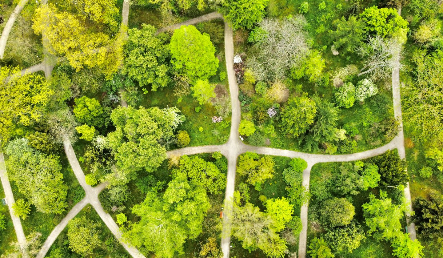 Arboretum von oben, © Gudrun Koch