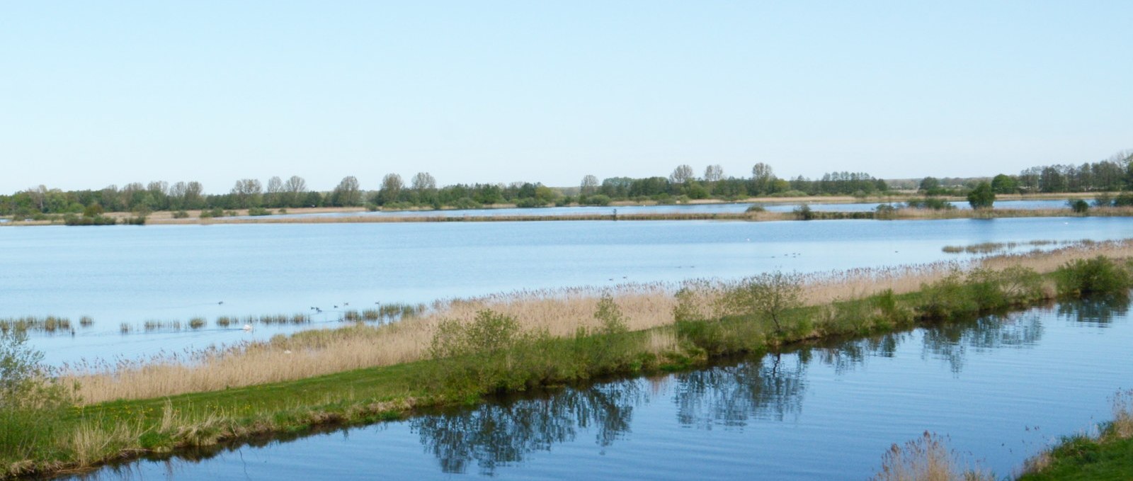 Blick auf die Fischteiche in der Lewitz, © Tourismusverband Mecklenburg-Schwerin e.V.