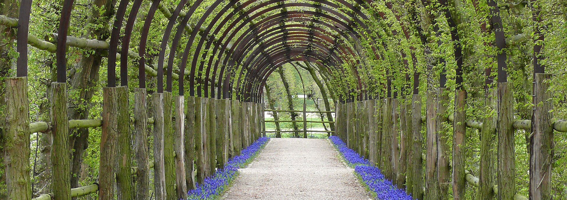 Laubengang im Schlossgarten Schwerin, © SSGK MV / Dietmar Braune