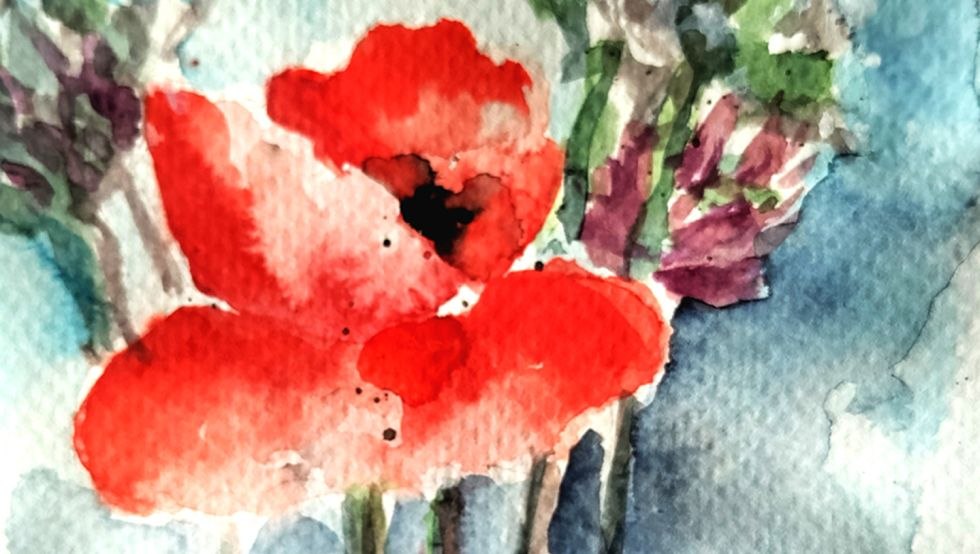 Aquarellbild Mohn, © Simone Boll