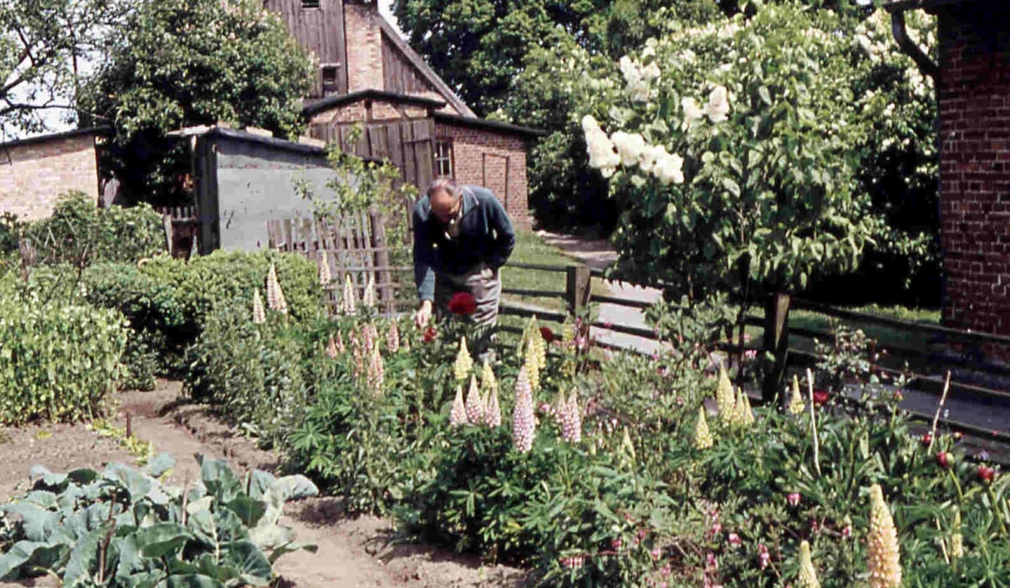 Nutzgarten am Langen Haus im Kloster Rambin, um 1965, © Hans Austel