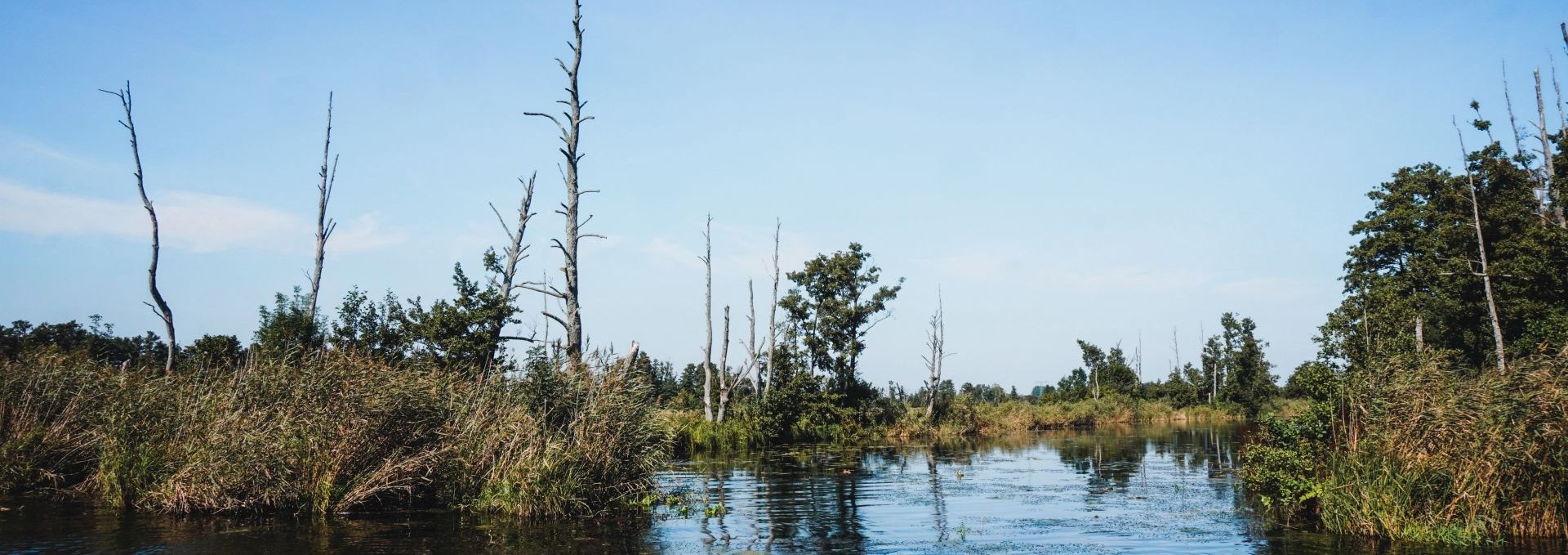 Bei der Kanufahrt auf der Peene lässt sich die Natur in vollen Zügen genießen, © TMV/WorldonaBudget