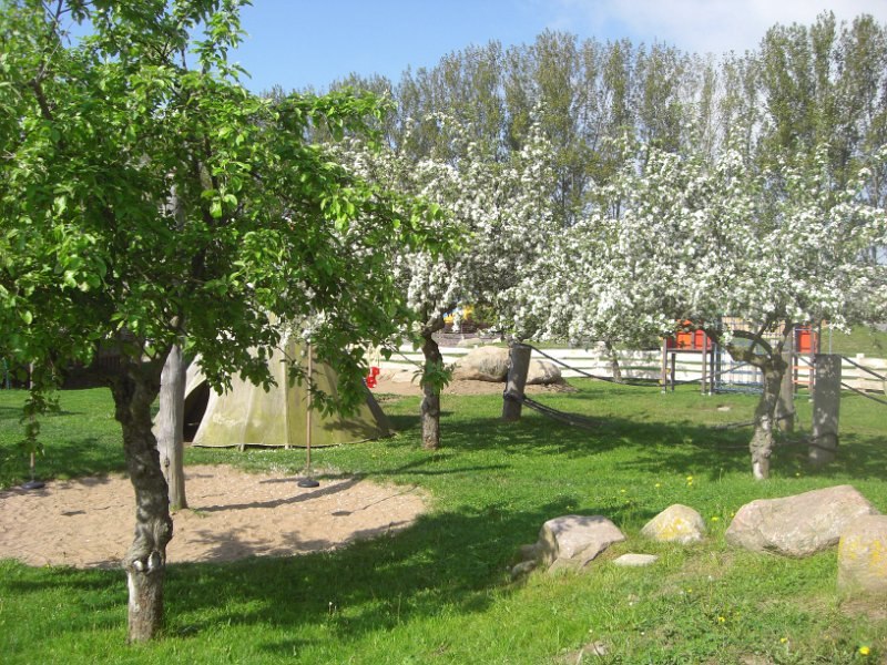 Frühling auf dem Eselhof, © Eselhof Schlage