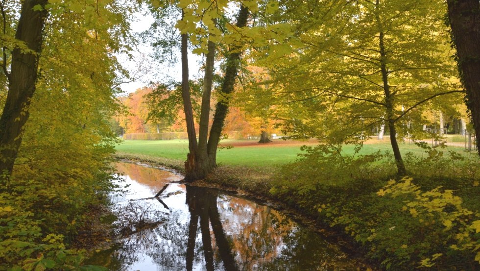 Herbst Schlosspark Bach, © Tourismusverband Mecklenburg-Schwerin