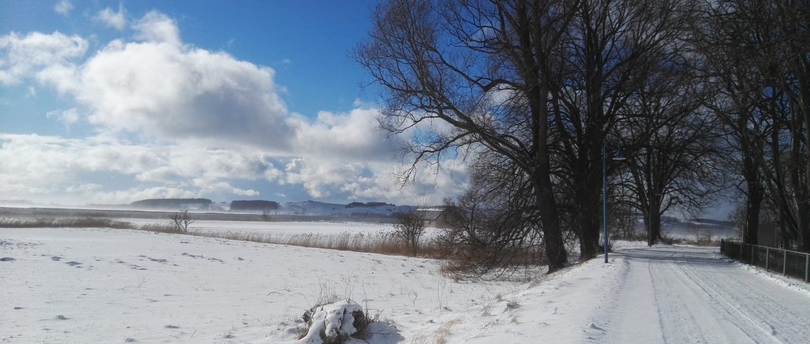 Winterwanderung, © Petra Wolter