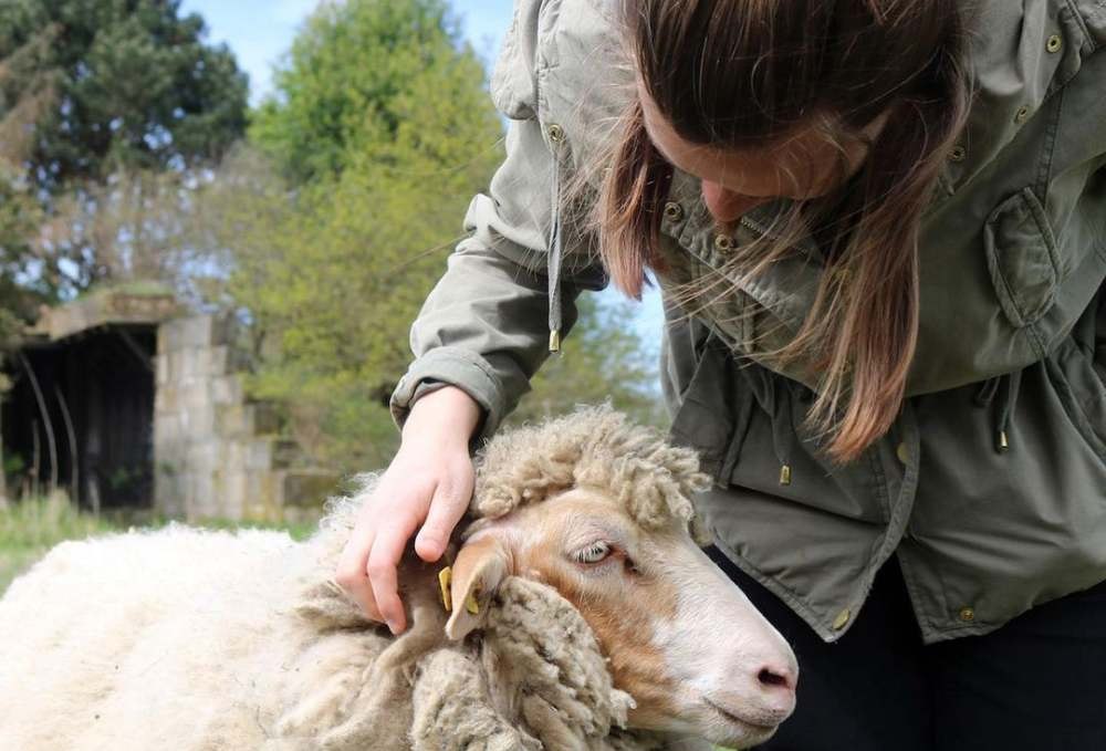 Die Tafel.Runde im Land der Tiere ist ein Tierschutz-Ganztagesevent der besonderen Art: exklusiver veganer Kochkurs und intensives Eintauchen ins Land der Tiere., © Land der Tiere