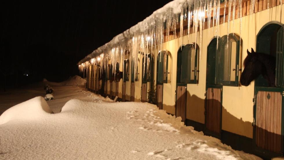 Die Reitanlage Tegelhof im Winterzauber, © Sven C. Arlt